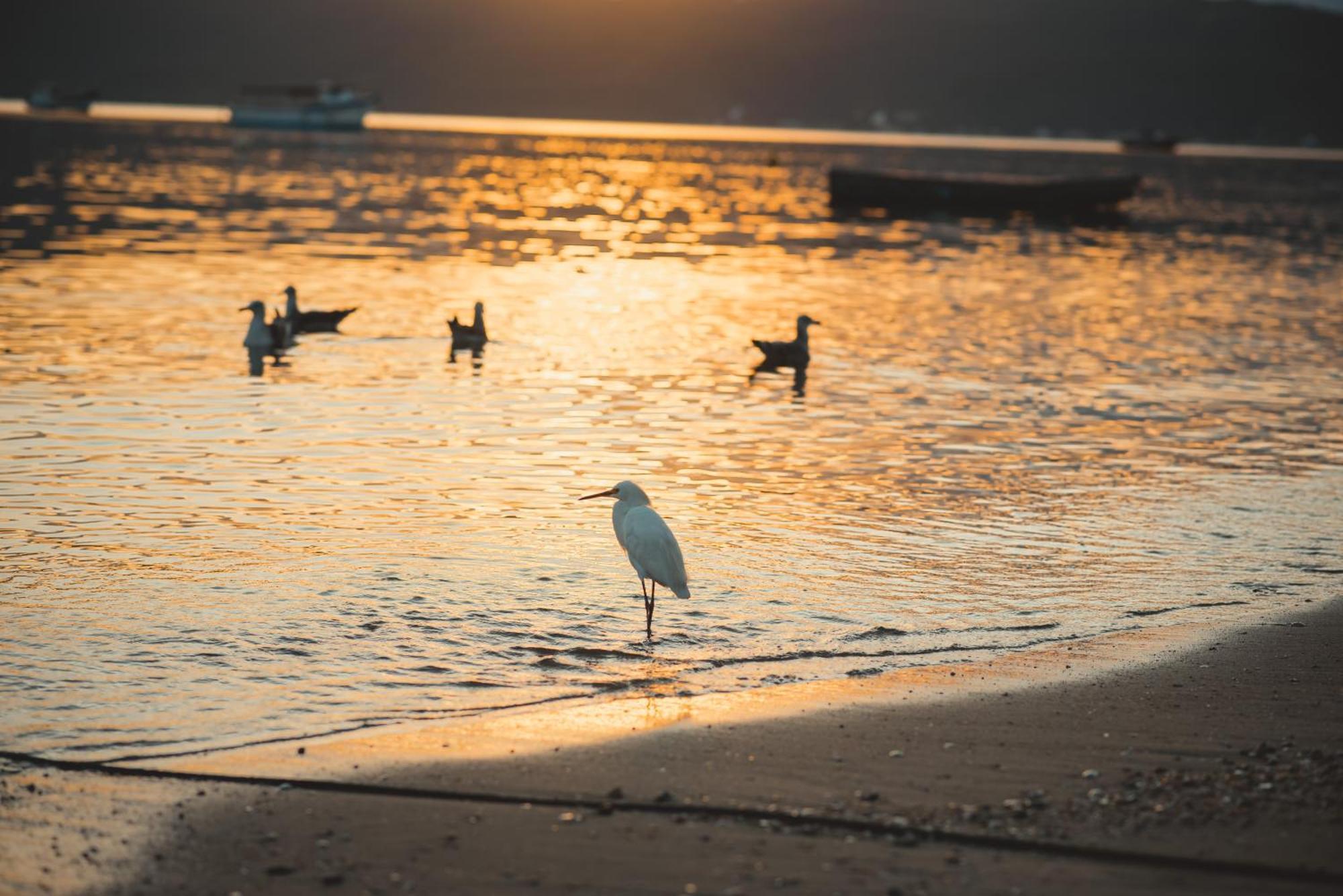 Pousada Canto Do Pescador Bombinhas Luaran gambar